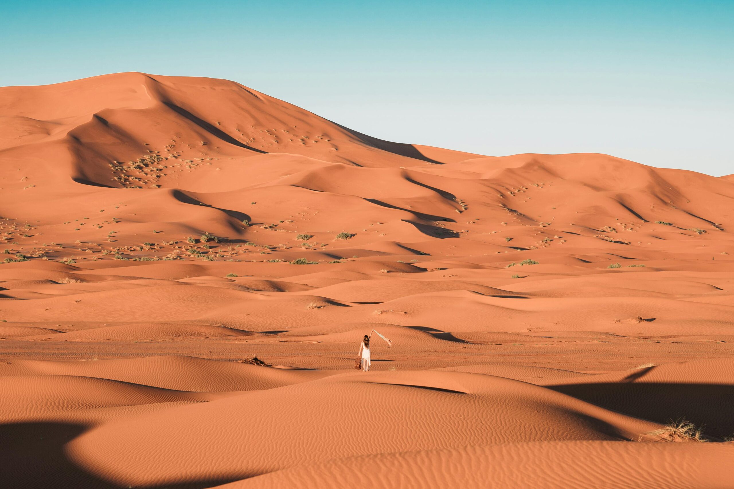 Camel caravan crossing the dunes near Mhamid, Morocco